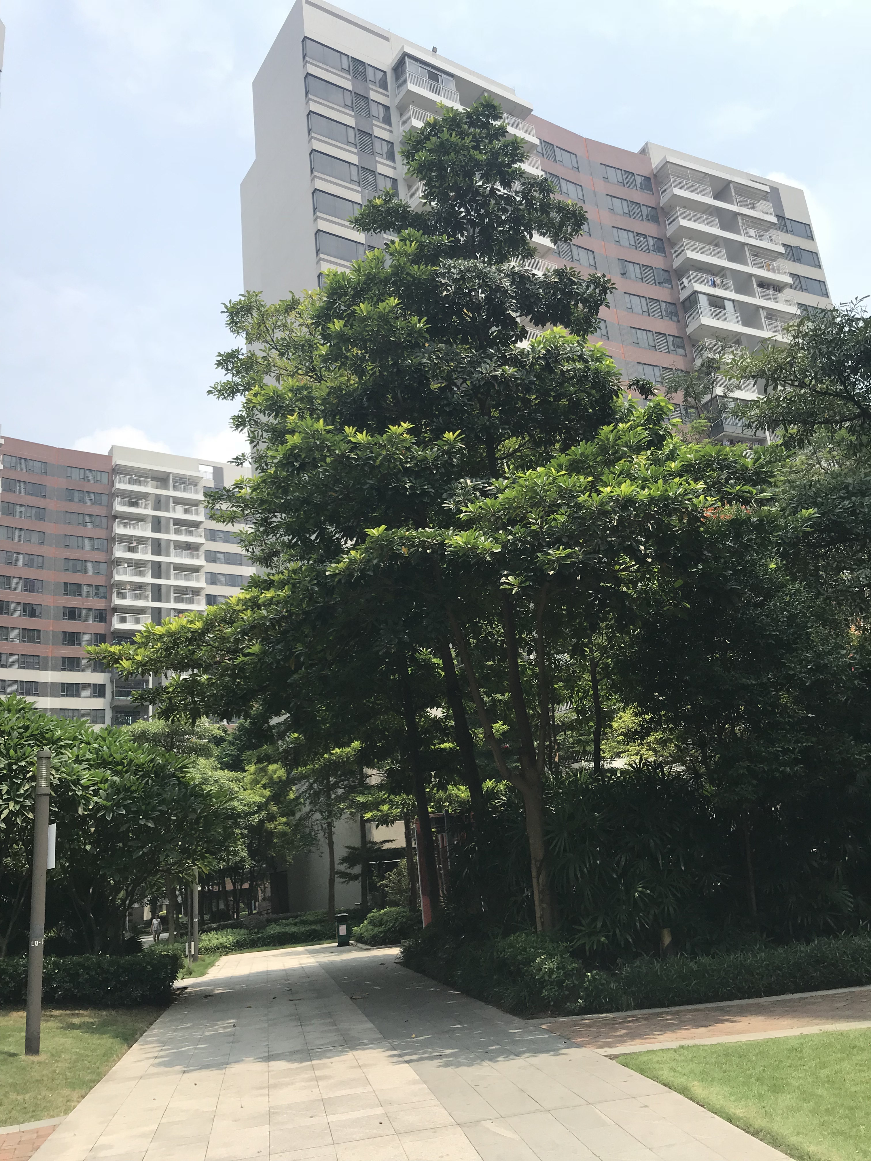 时代城 小户型 中高层 只卖49万 可贷款 过五年 低税 随时可看 急卖